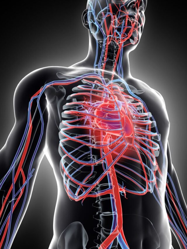Can intermittent fasting double your risk of dying from heart problems?